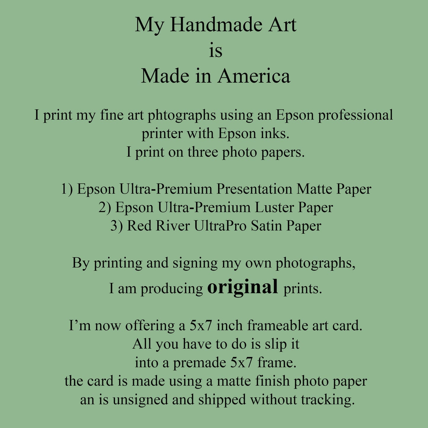 A Humorous Red Cardinal Perched on a  Camera With A 600mm Telephoto Lens