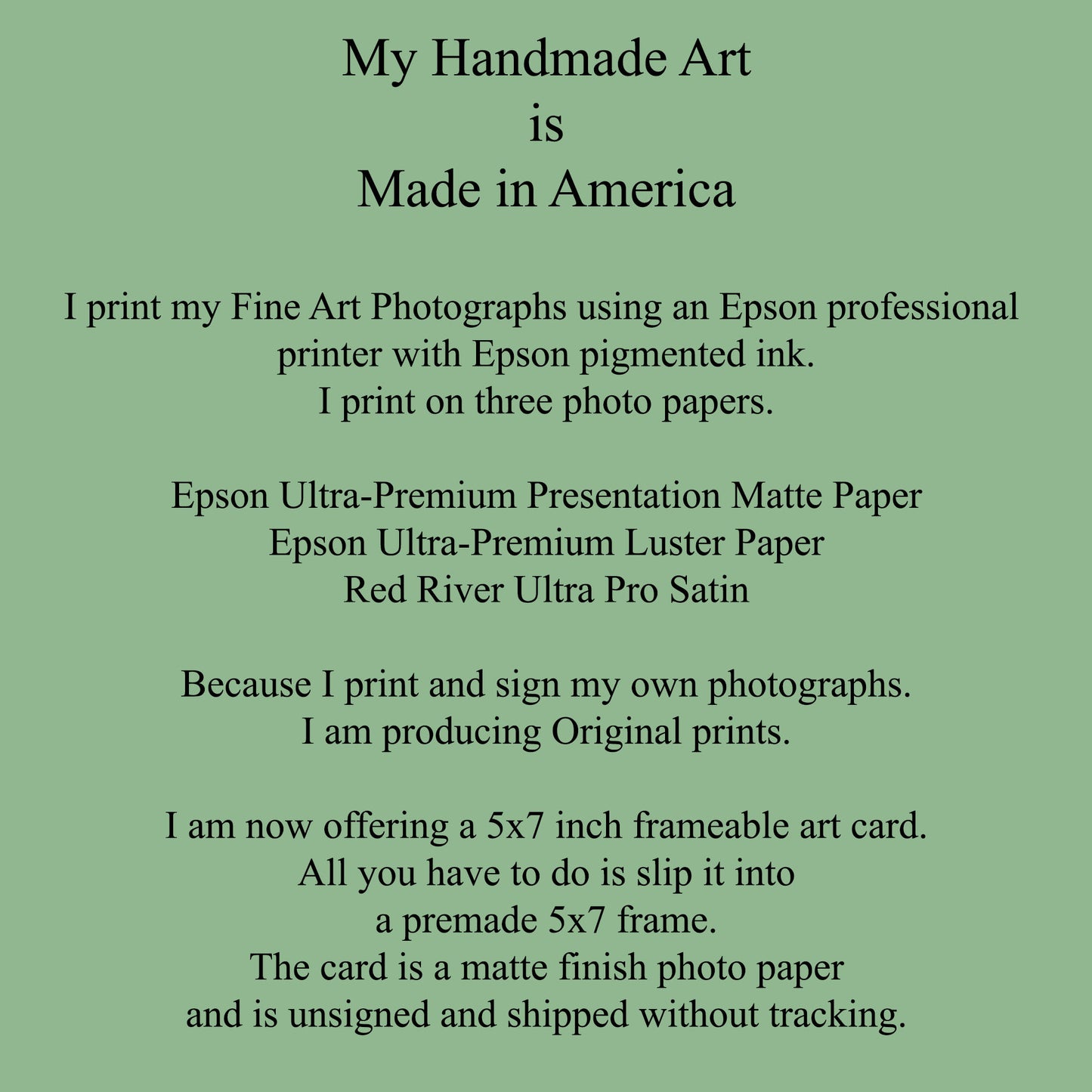 A Rooster Fine Art Photo An Executive Portrait