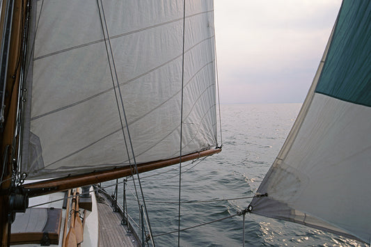 Ping Po on the beam by John Harmon