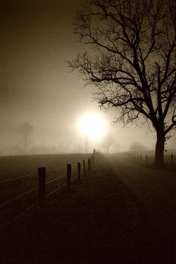 Cades Cove Sunrise by John Harmon
