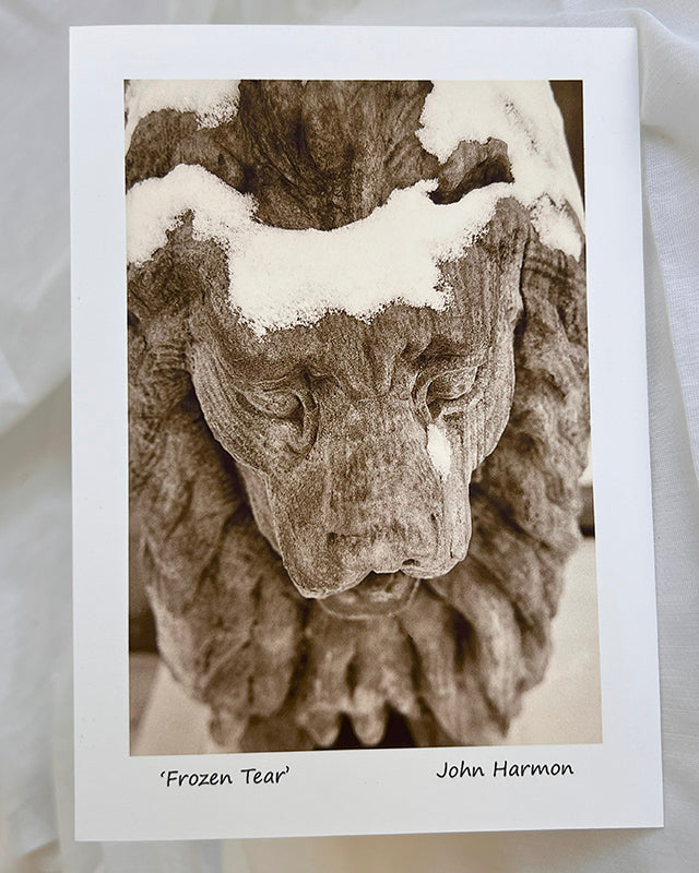 The Stone Lions Frozen Tear  Captivating Fine Art Photography Print