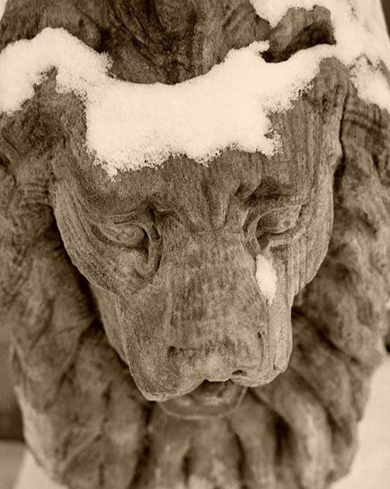 The Stone Lions Frozen Tear  Captivating Fine Art Photography Print