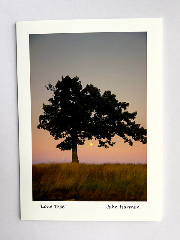 National Park, Blue Ridge Mountains, Doughton Park, Lone Tree