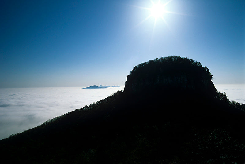 Pilot Mountain in Surry County  North Carolina Photo Wall Decor