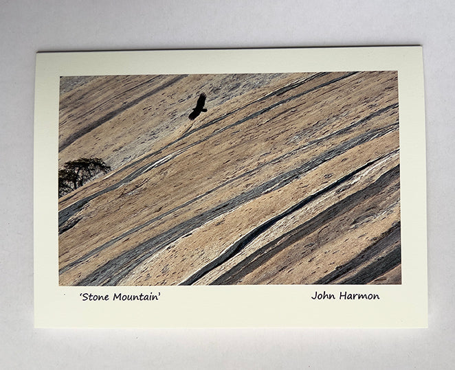 Stone Mountain A North Carolina State Park A Lone Vulture Soars Near the Granite Dome Fine Art Photo