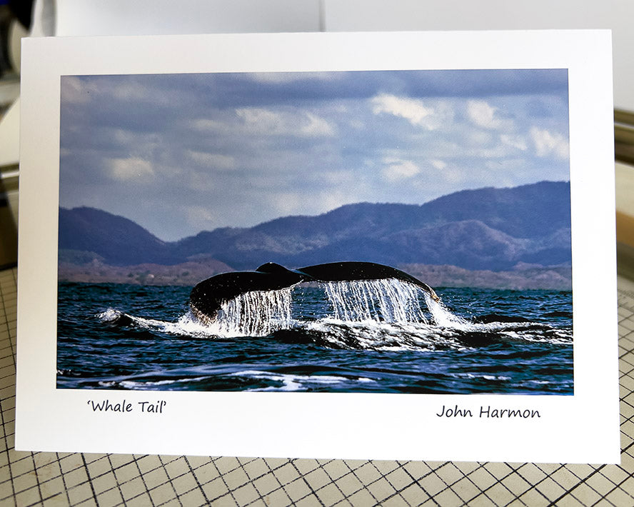 Water Cascades from the Tail of a Humbacked Whale Fine Art Photo