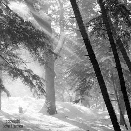 Brecksville Ohio Metroparks A Fine Art Photo Winter Light Rays Passing Through Falling Snow