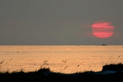 A Power Boat Returning to Port Under a Setting Sun at Destin on the Florida Panhandle
