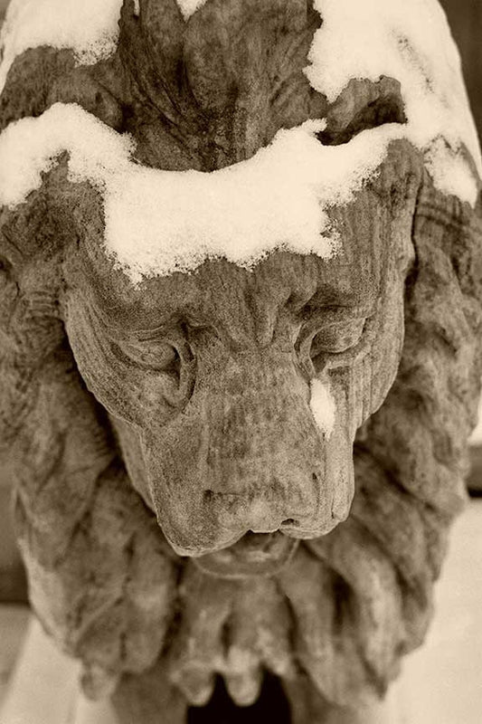 The Stone Lions Frozen Tear  Captivating Fine Art Photography Print