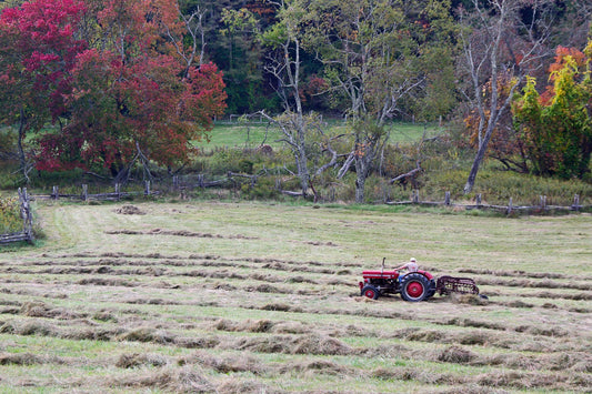 Raking Hay on the Blue Ridge Parkway US Highway 21 North Carolina Wall Decor