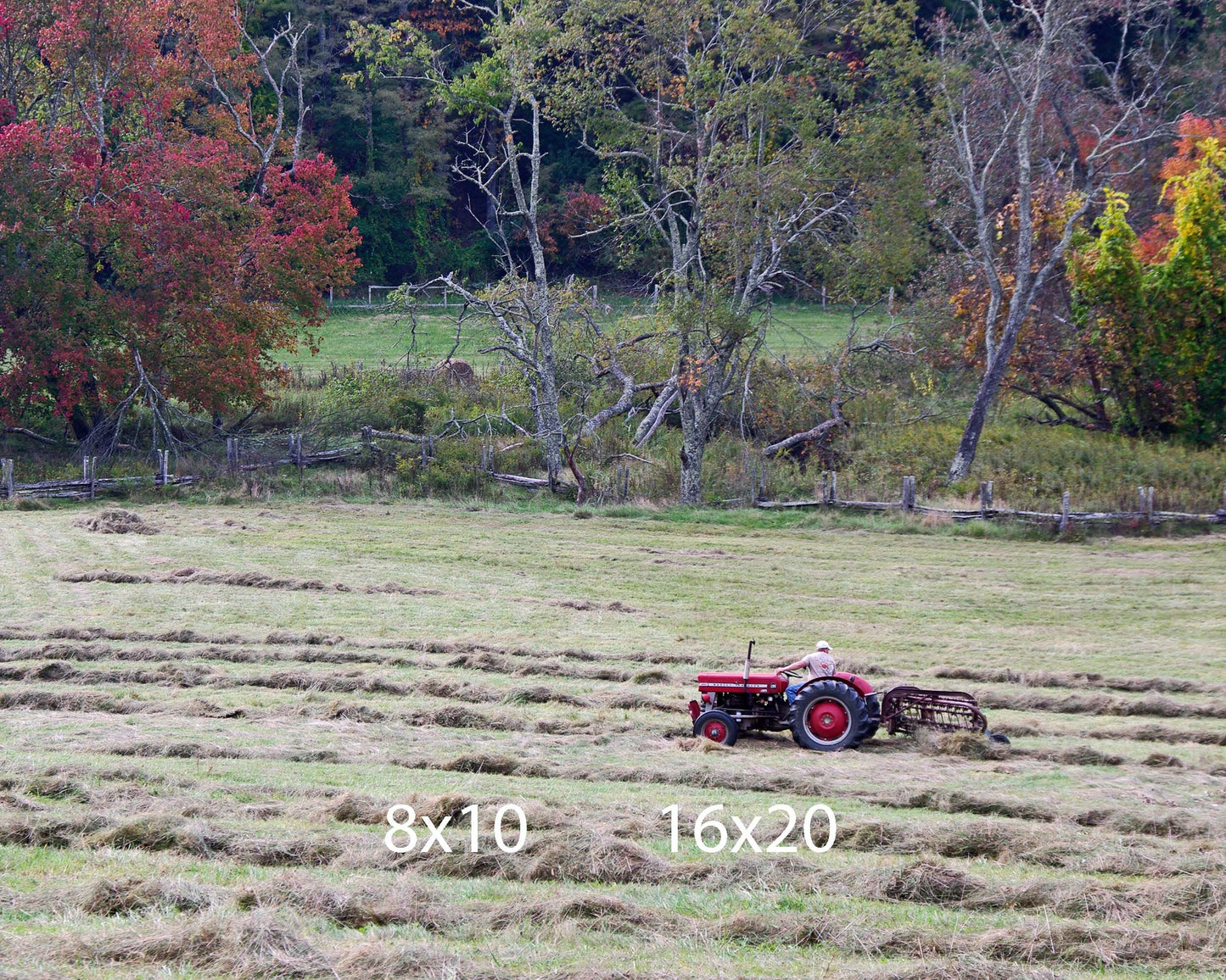 Raking Hay on the Blue Ridge Parkway US Highway 21 North Carolina Wall Decor