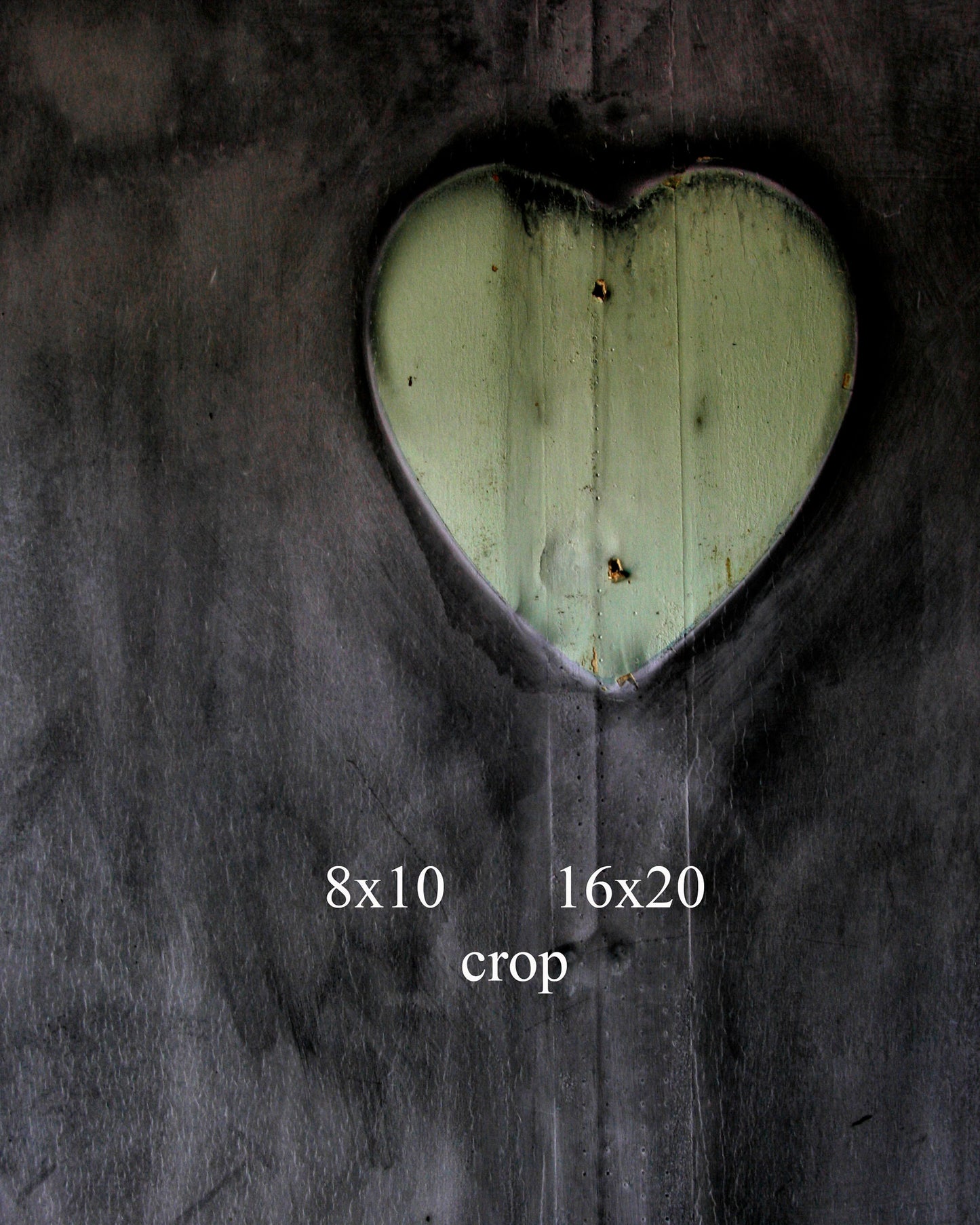 Surviving Heart: A Fine Art Photo capturing the Spiritual Impression left after a Fire