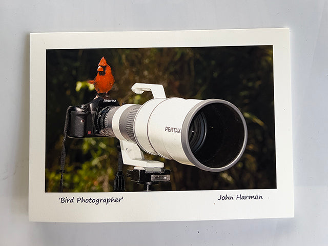 A Humorous Red Cardinal Perched on a  Camera With A 600mm Telephoto Lens