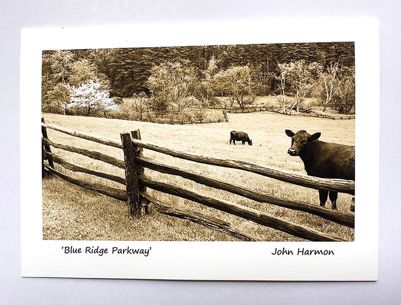 Blue Ridge Parkway Art: Rustic Print with Cows, Dogwood & Split Rail Fence