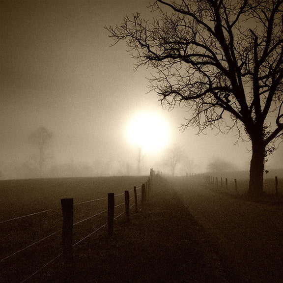 Cades Cove Sunrise by John Harmon