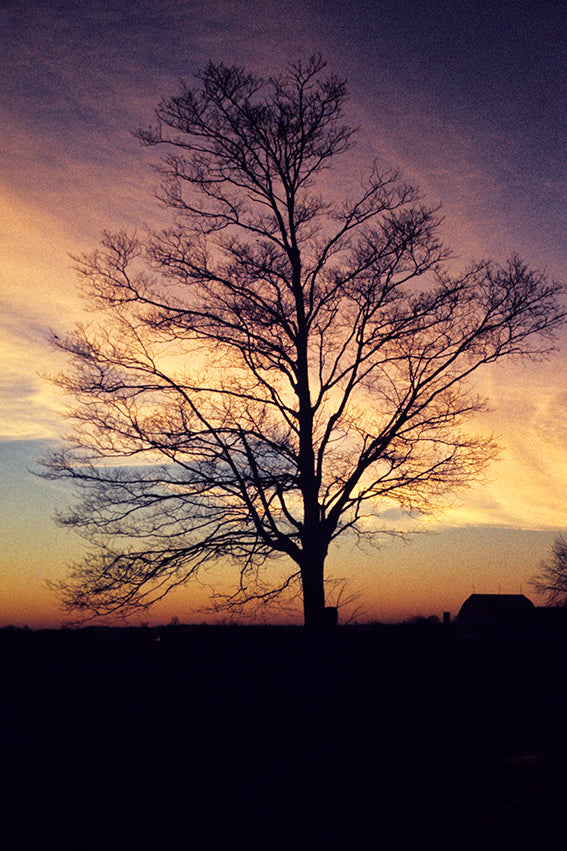 Barn and tree at sunrise Hinkley Ohio by John Harmon