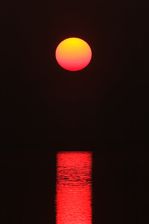 Sunrise at Saint Joesephs State Park by John Harmon