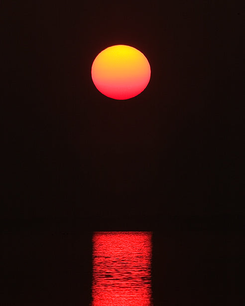 Sunrise at Saint Joesephs State Park by John Harmon