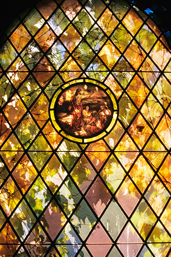 Fall foilage and stained glass window by John Harmon